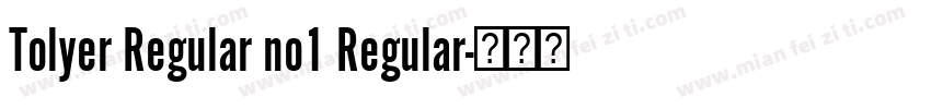 Tolyer Regular no1 Regular字体转换